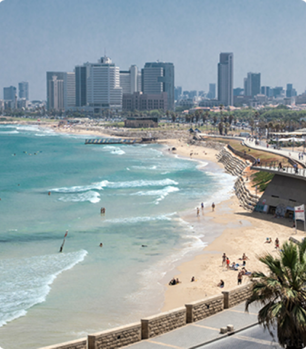 הנמל והמרינה של יפו